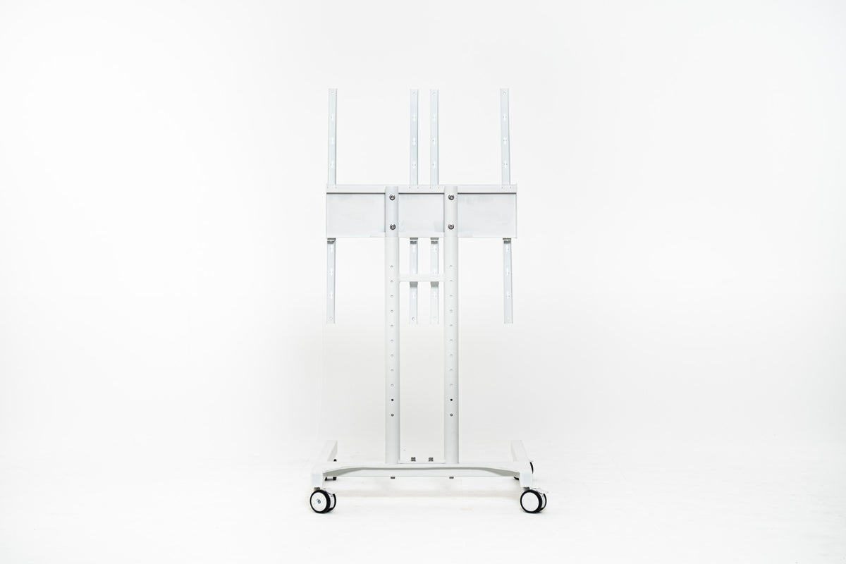 Dual Stand Vertical