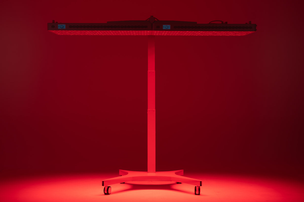 Dual Stand Motorised