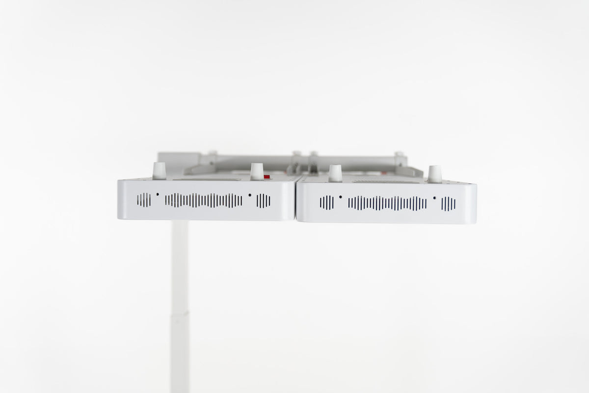 Dual Stand Motorised