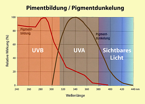 Pigemntbildung-dunkelung